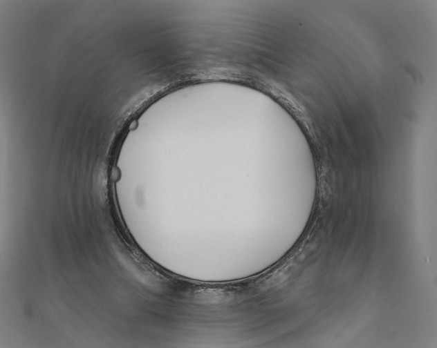 X0000111420298200908101101