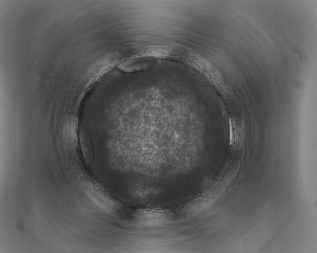 X0000111420300200908101101