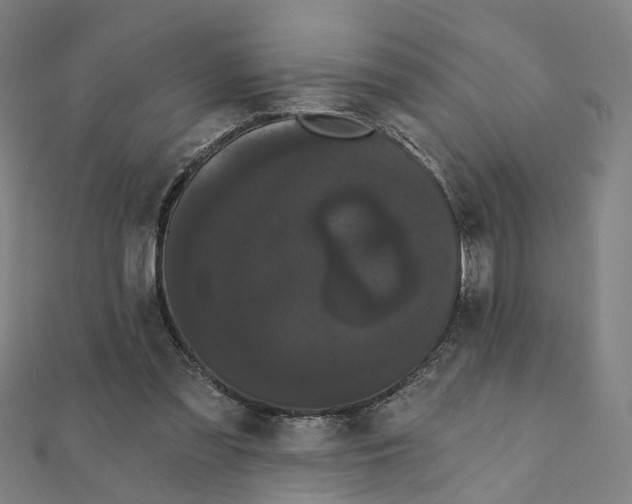 X0000111420301200908101101