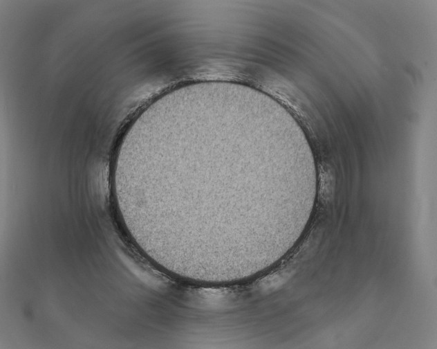 X0000111420302200908101101