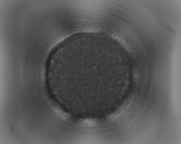 X0000111420303200908101101
