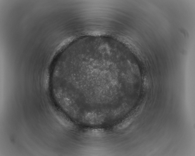 X0000111420304200908101101