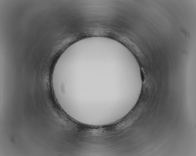 X0000111420306200908101101