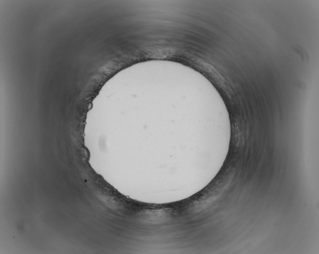 X0000111420307200908101101