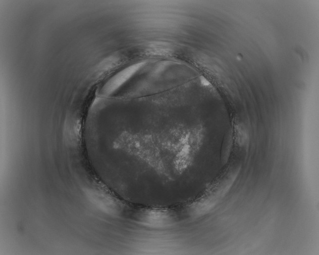 X0000111420308200908101101