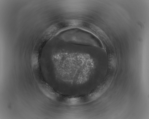 X0000111420312200908101101