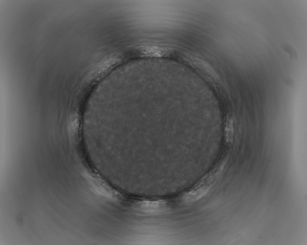 X0000111420314200908101101
