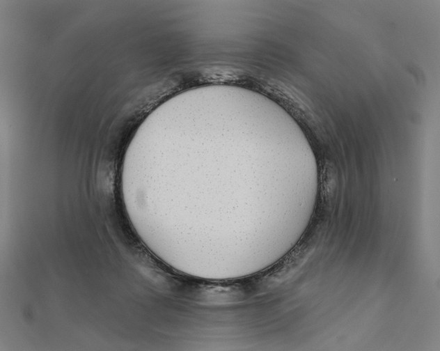 X0000111420315200908101101