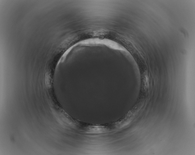 X0000111420316200908101101