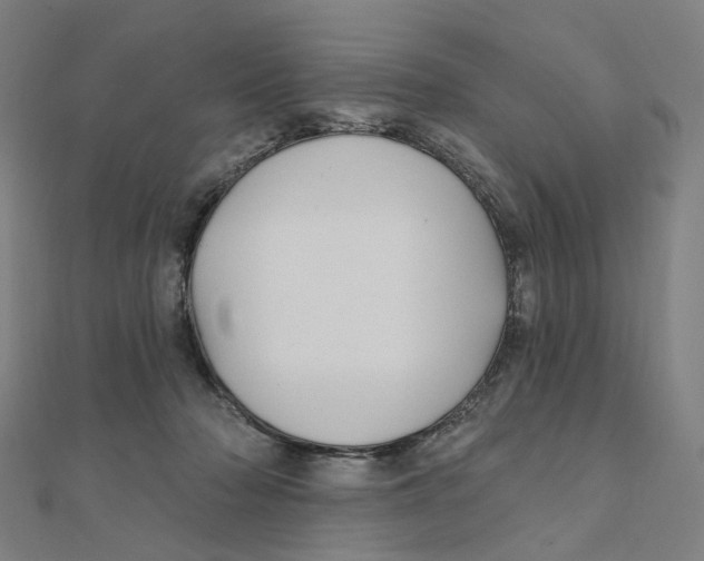 X0000111420318200908101101
