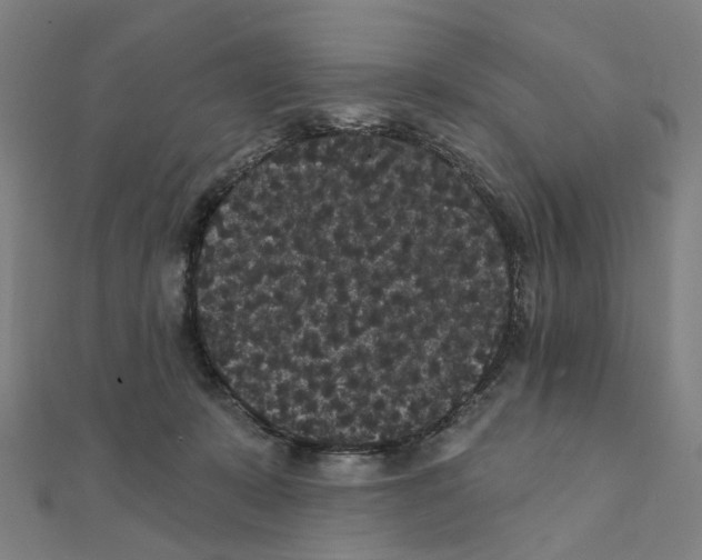 X0000111420319200908101101