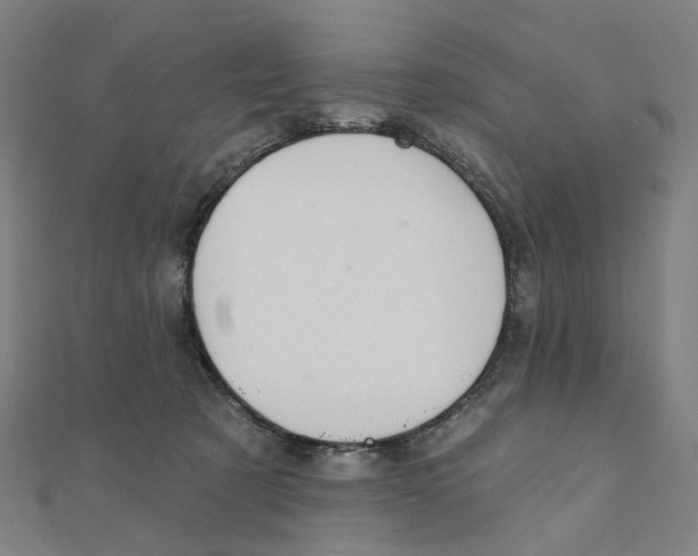 X0000111420321200908101101