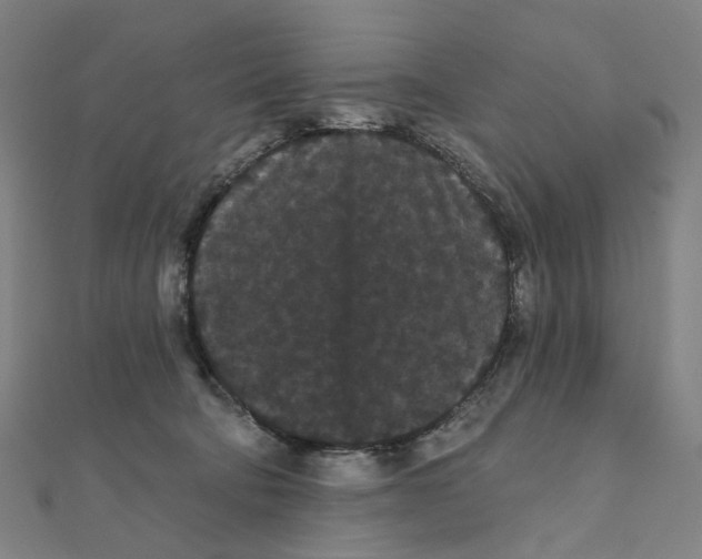 X0000111420322200908101101