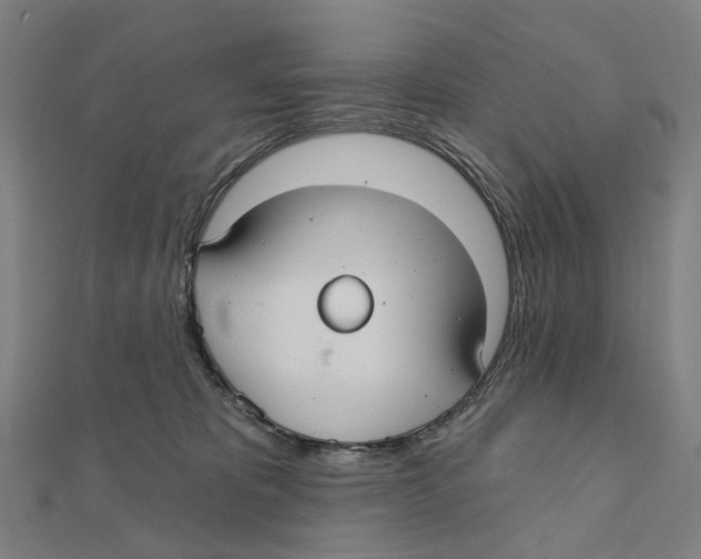 X0000111420325200908101101