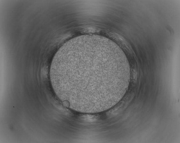 X0000111420326200908101101