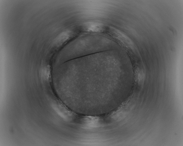 X0000111420328200908101101