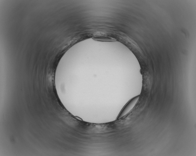 X0000111420329200908101101