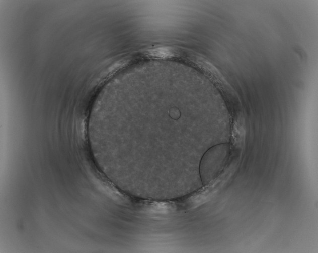 X0000111420330200908101101