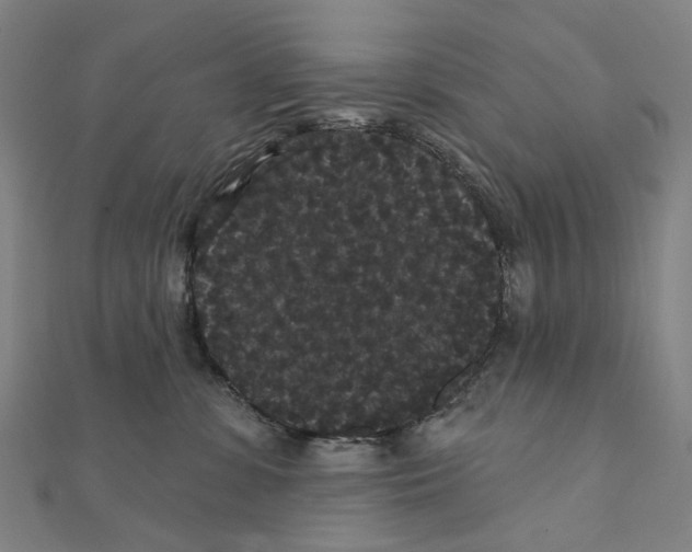 X0000111420331200908101101