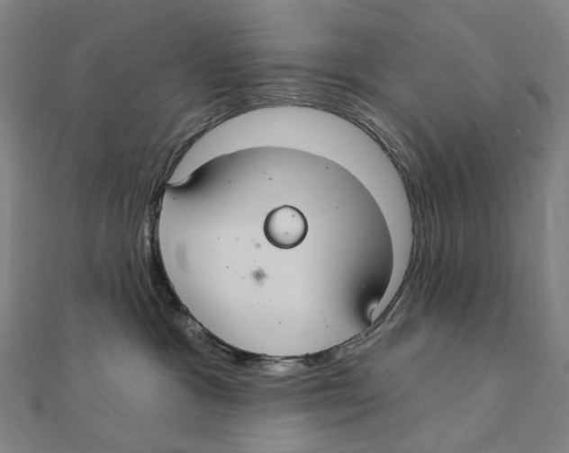 X0000111420333200908101101