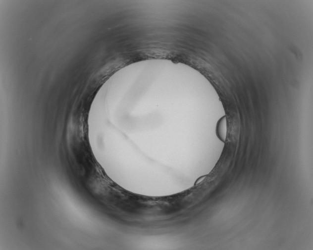 X0000111420334200908101101
