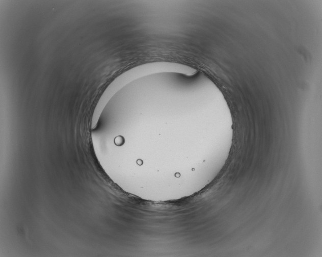 X0000111420336200908101101