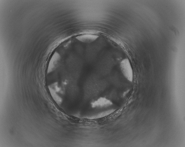 X0000111420337200908101100