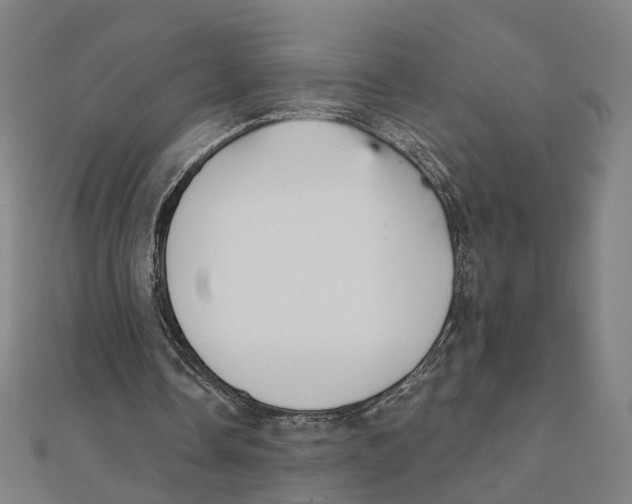 X0000111420338200908101100