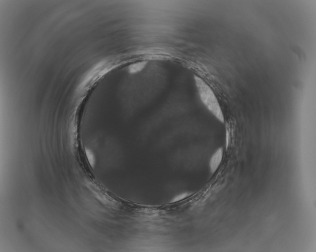 X0000111420339200908101100