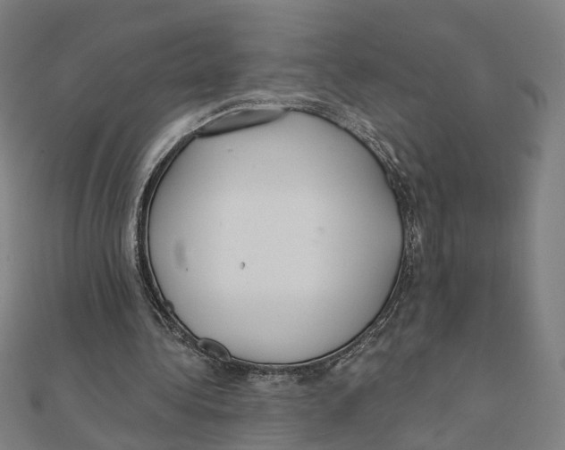X0000111420340200908101100