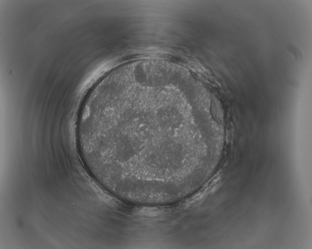 X0000111420341200908101100
