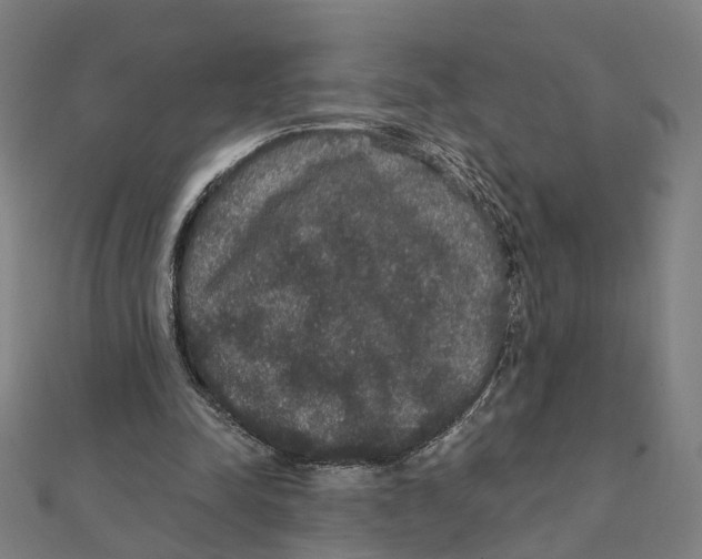 X0000111420342200908101100