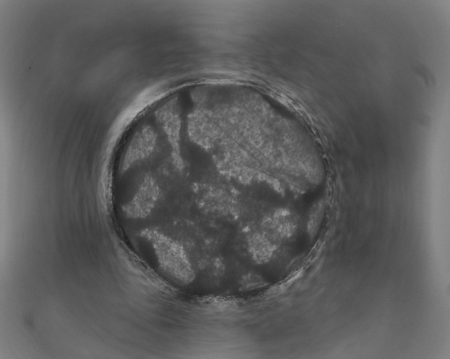 X0000111420343200908101100