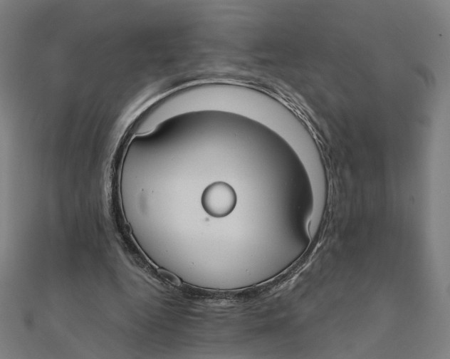X0000111420344200908101100