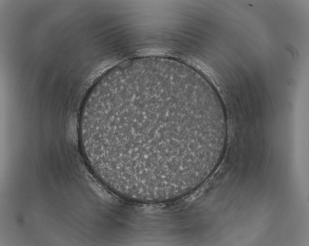 X0000111420345200908101100