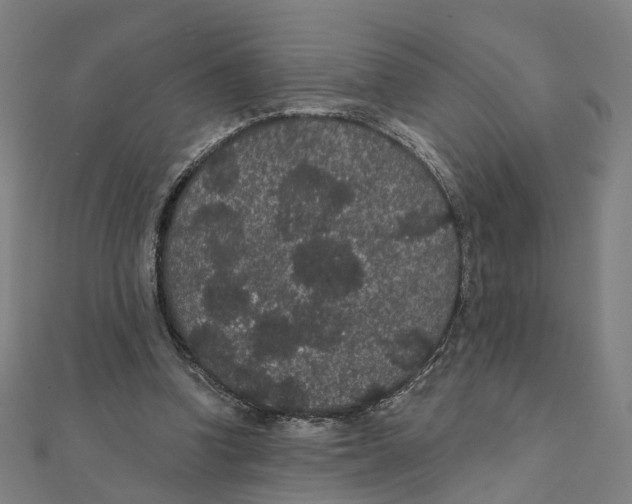 X0000111420346200908101100
