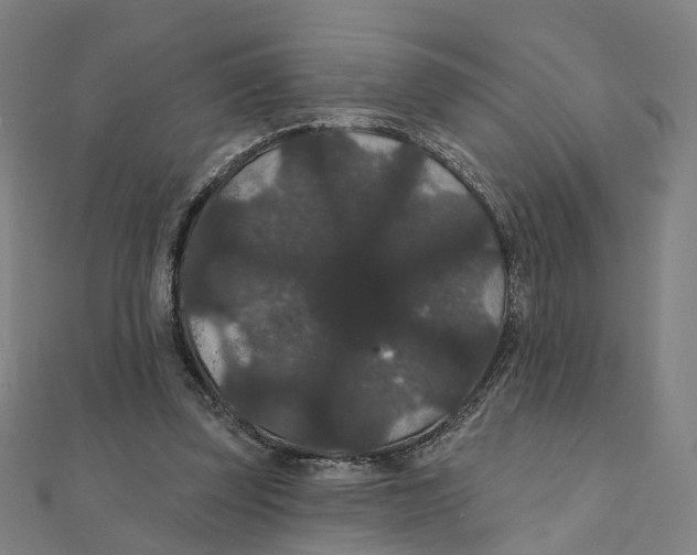 X0000111420347200908101100