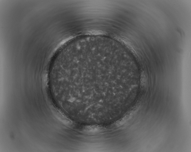 X0000111420351200908101100