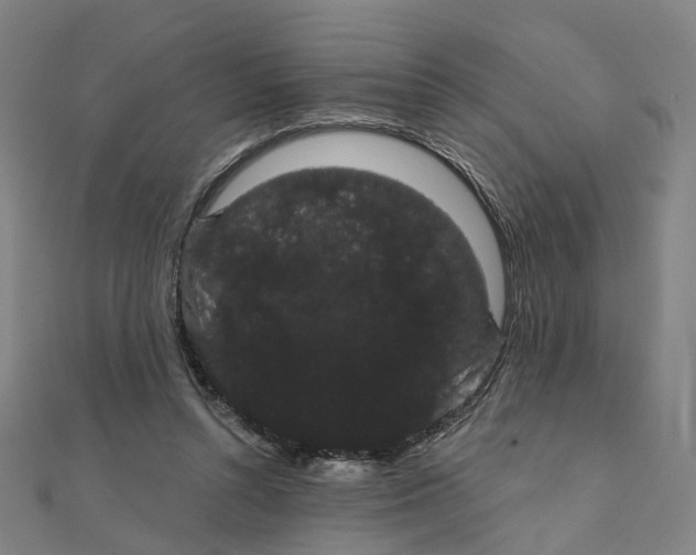 X0000111420352200908101100