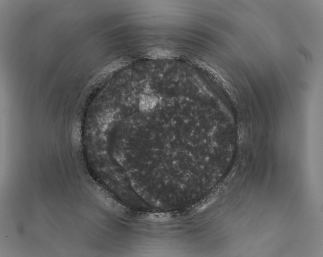 X0000111420353200908101100
