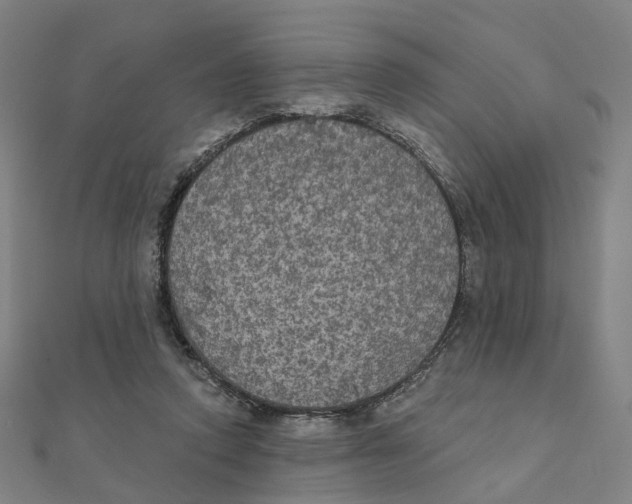 X0000111420354200908101100