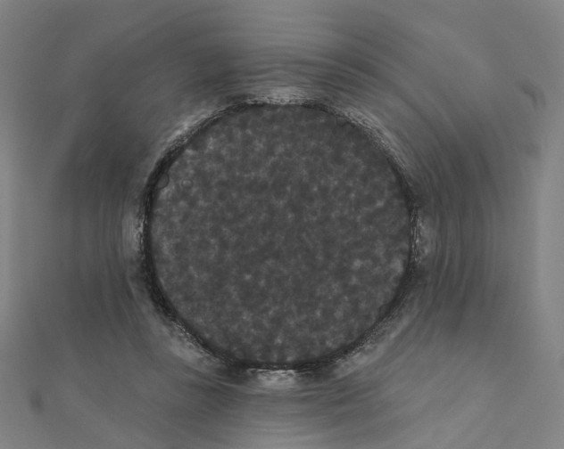 X0000111420355200908101100