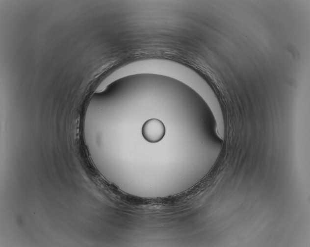 X0000111420356200908101100