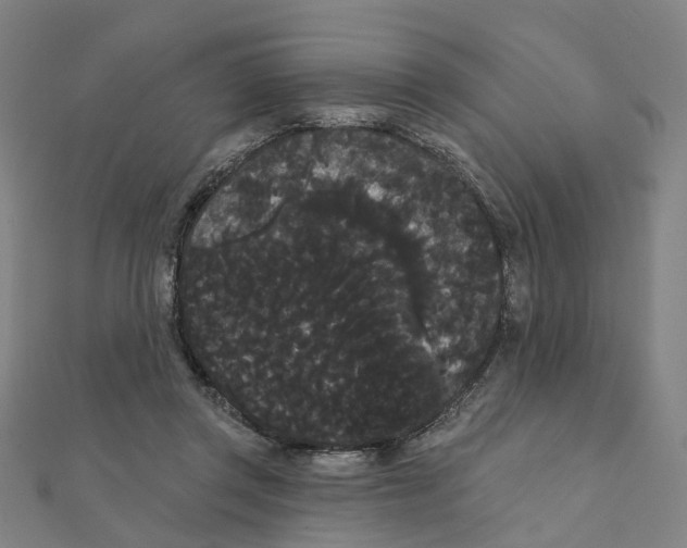 X0000111420357200908101100