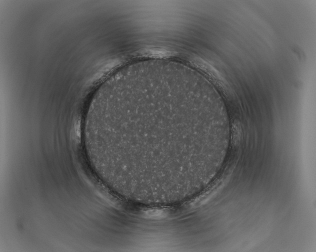 X0000111420358200908101100
