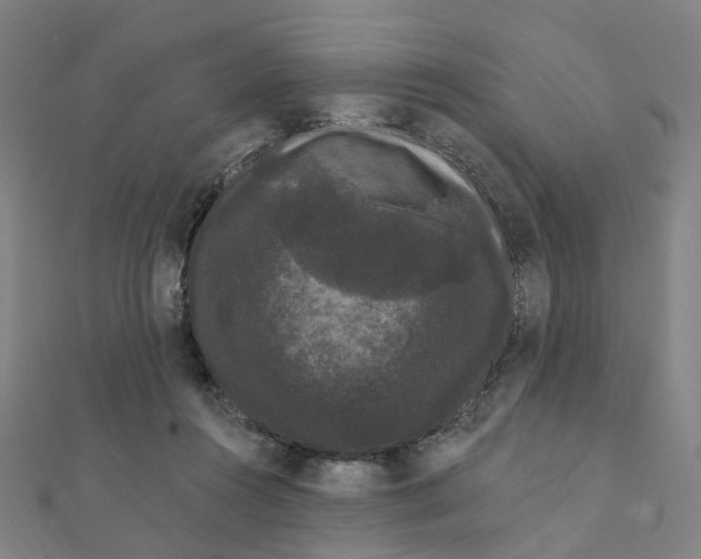 X0000111420360200908101100
