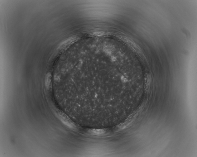 X0000111420361200908101100