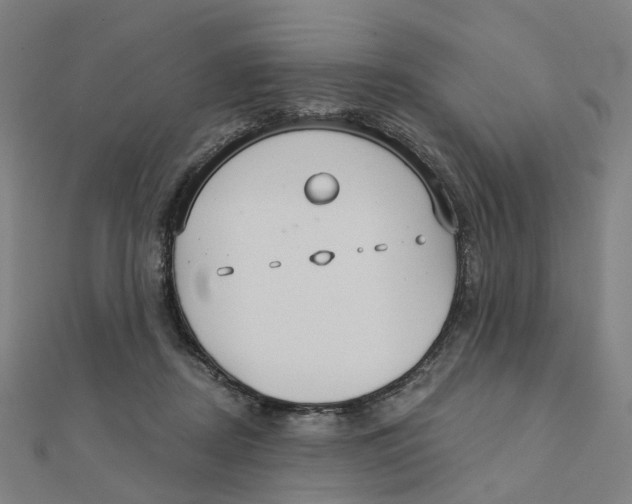 X0000111420362200908101100