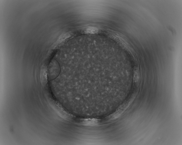 X0000111420363200908101100