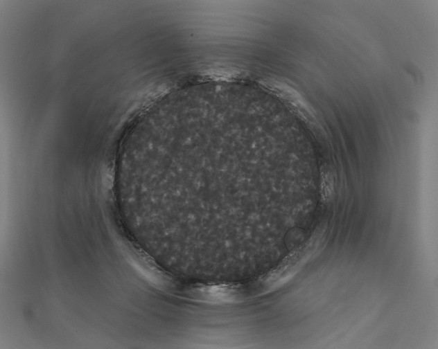 X0000111420365200908101100